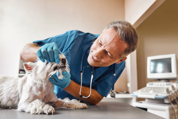 Best Emergency Dental Surgery in Nassau Village Ratliff, FL